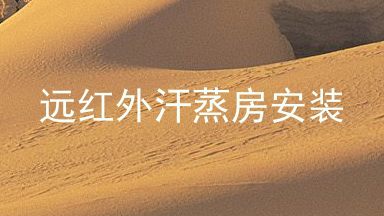 远红外汗蒸房安装