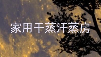 家用干蒸汗蒸房