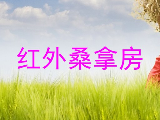 红外桑拿房