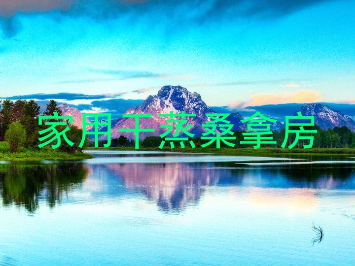 家用干蒸桑拿房