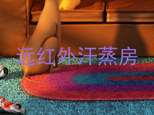 远红外汗蒸房