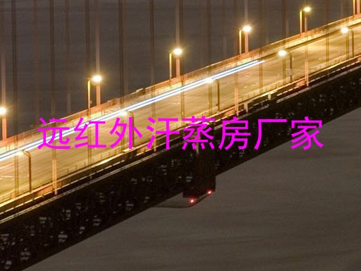 远红外汗蒸房厂家