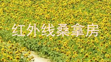 红外线桑拿房