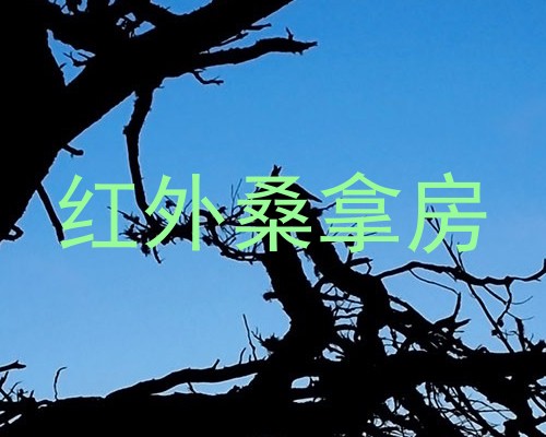 红外桑拿房