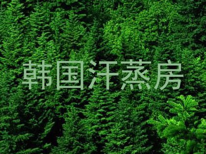 韩国汗蒸房