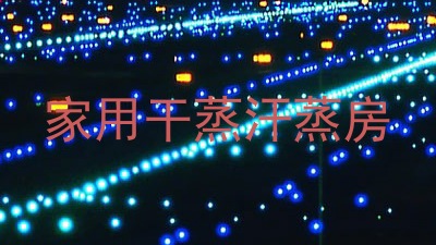 家用干蒸汗蒸房