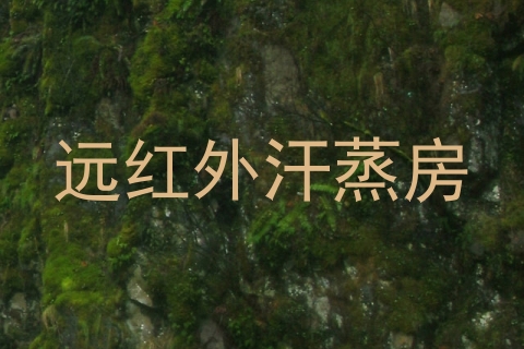 远红外汗蒸房