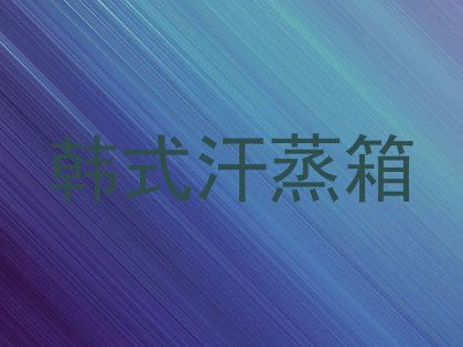韩式汗蒸箱
