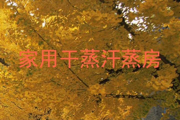 家用干蒸汗蒸房