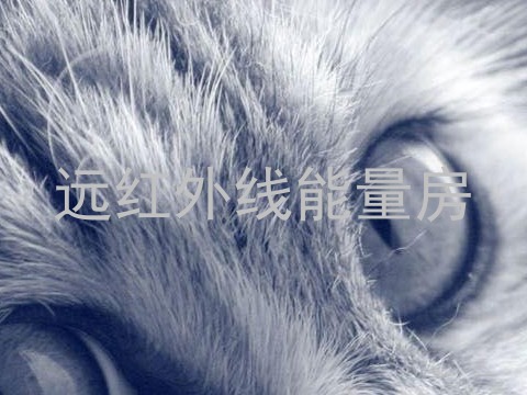 远红外线能量房