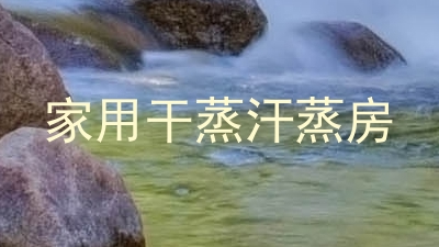 家用干蒸汗蒸房