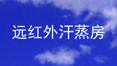 远红外汗蒸房