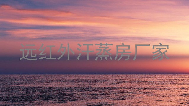 远红外汗蒸房厂家