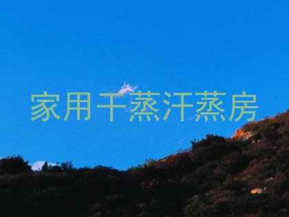 家用干蒸汗蒸房
