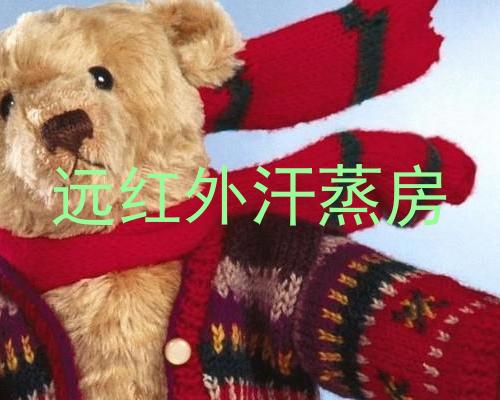 远红外汗蒸房