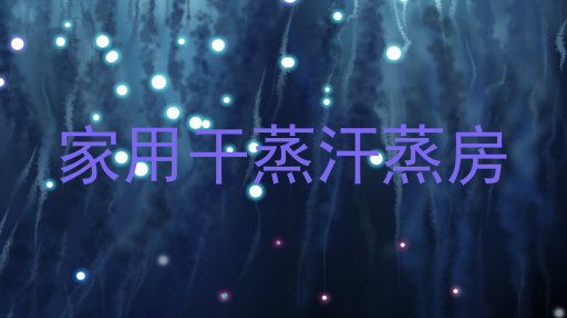 家用干蒸汗蒸房