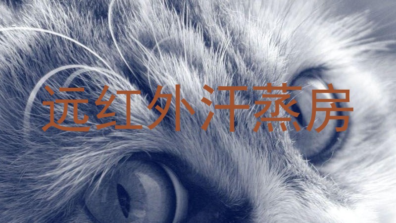 远红外汗蒸房