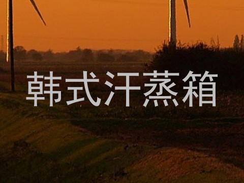 韩式汗蒸箱