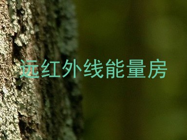 远红外线能量房