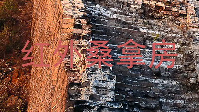 红外桑拿房
