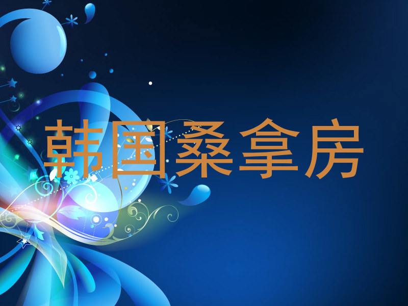 韩国桑拿房