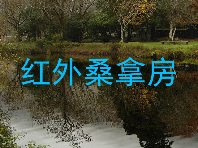 红外桑拿房