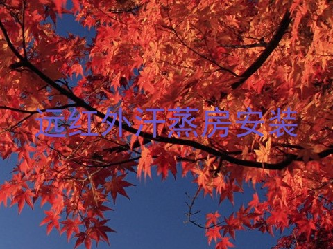远红外汗蒸房安装