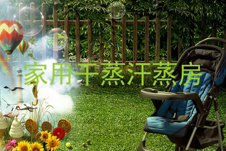 家用干蒸汗蒸房