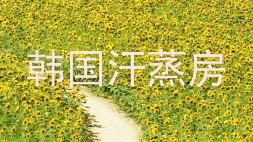 韩国汗蒸房
