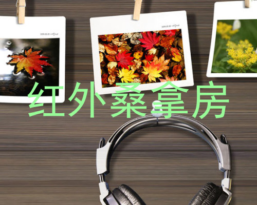 红外桑拿房