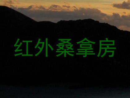 红外桑拿房