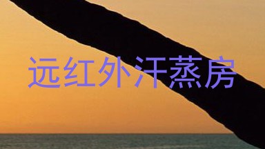 远红外汗蒸房