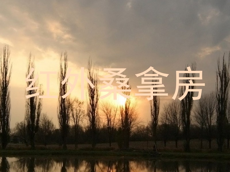 红外桑拿房