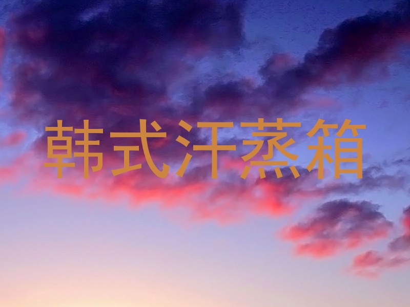 韩式汗蒸箱