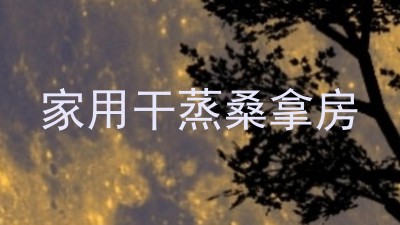 家用干蒸桑拿房