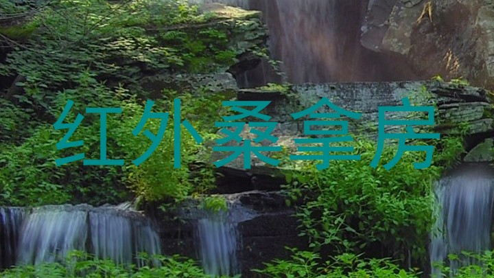 红外桑拿房