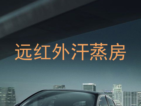 远红外汗蒸房