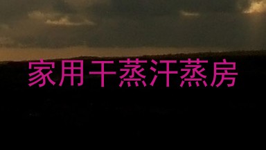 家用干蒸汗蒸房