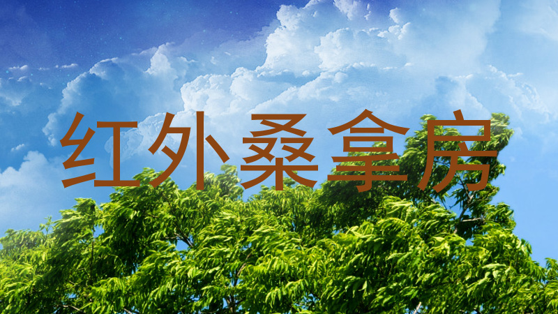 红外桑拿房