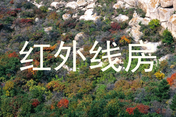 红外线房