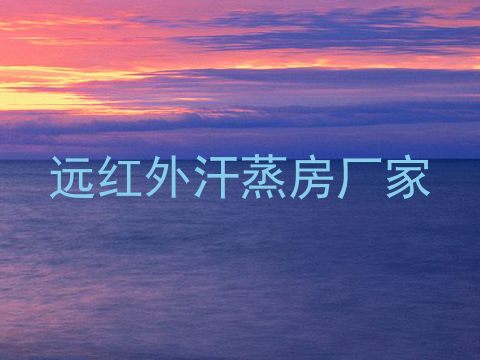 远红外汗蒸房厂家