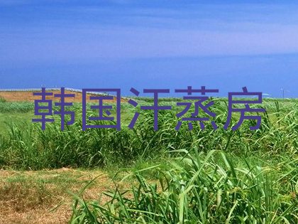 韩国汗蒸房