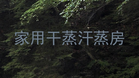 家用干蒸汗蒸房