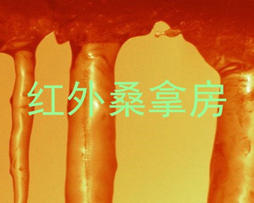 红外桑拿房