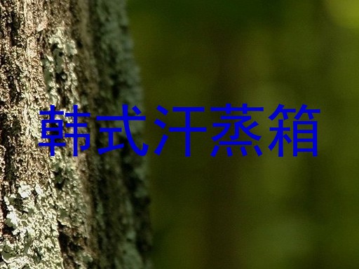 韩式汗蒸箱