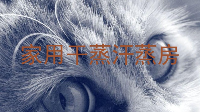 家用干蒸汗蒸房
