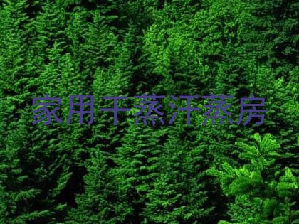 家用干蒸汗蒸房