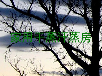 家用干蒸汗蒸房