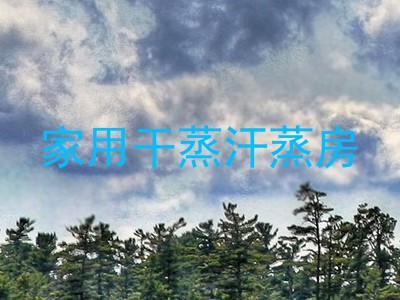 家用干蒸汗蒸房