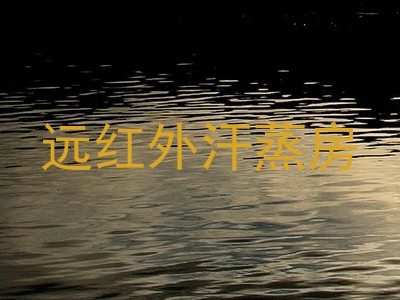 远红外汗蒸房